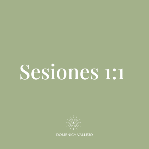 Sesiones 1:1 - Virtuales